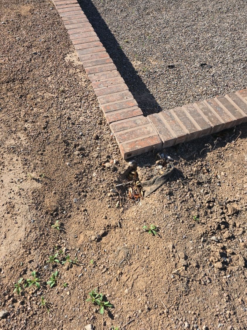 Soil washed out from beneath brick edging in a gravel yard