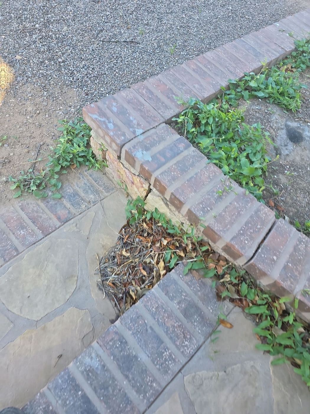 Brick landscape edging undermined by water with soil washed out beneath