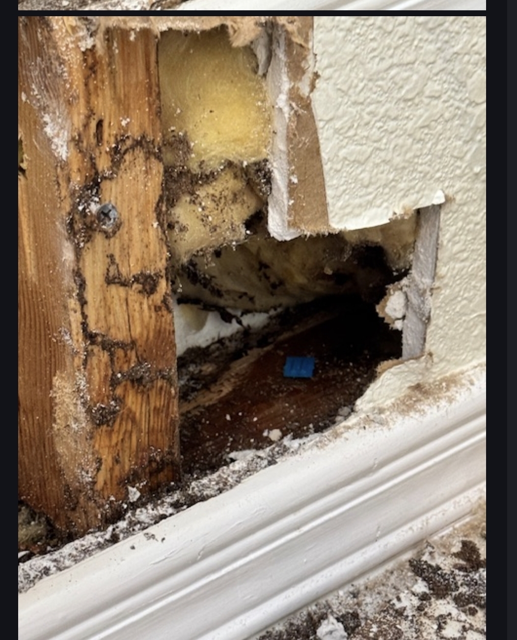 Wood member showing interior termite damage discovered during an El Paso home inspection