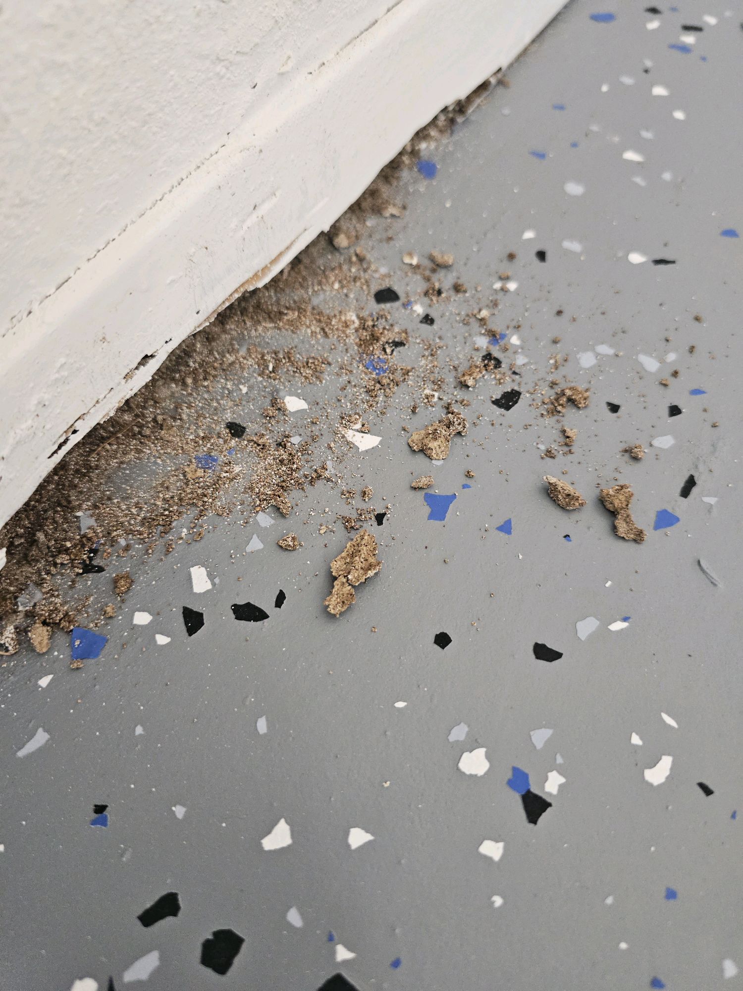 Termite frass pellets found at a windowsill during an El Paso home inspection