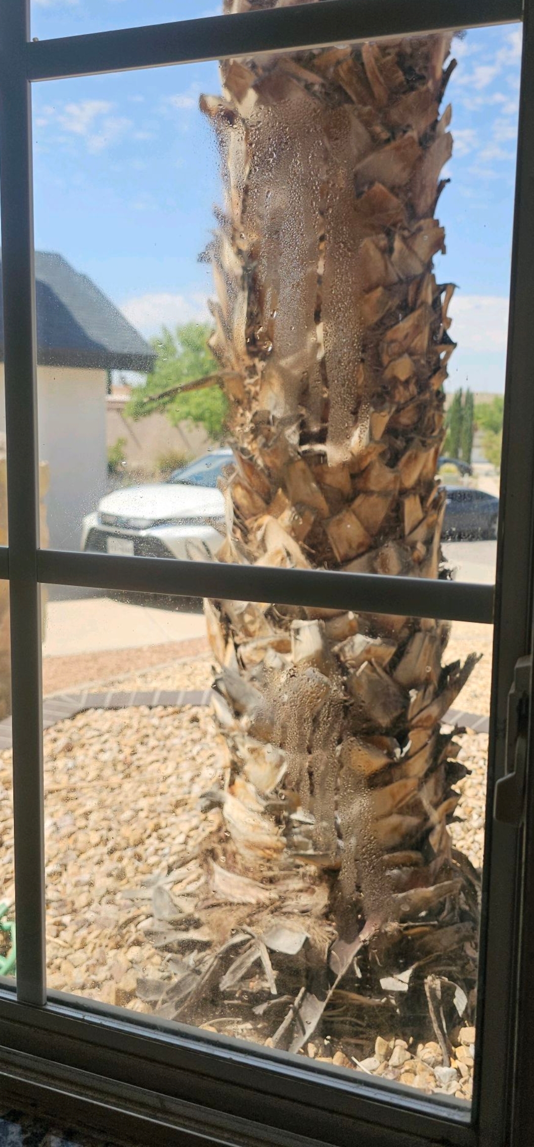 Fogging between the panes of a double-pane window indicating a failed insulated glass unit seal