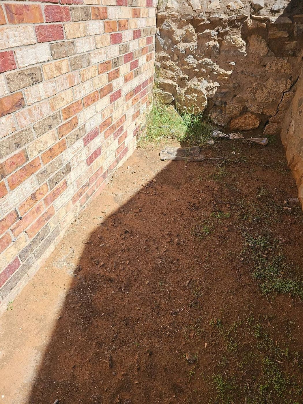 Flat bare soil against the brick wall of a home with no slope away from the foundation