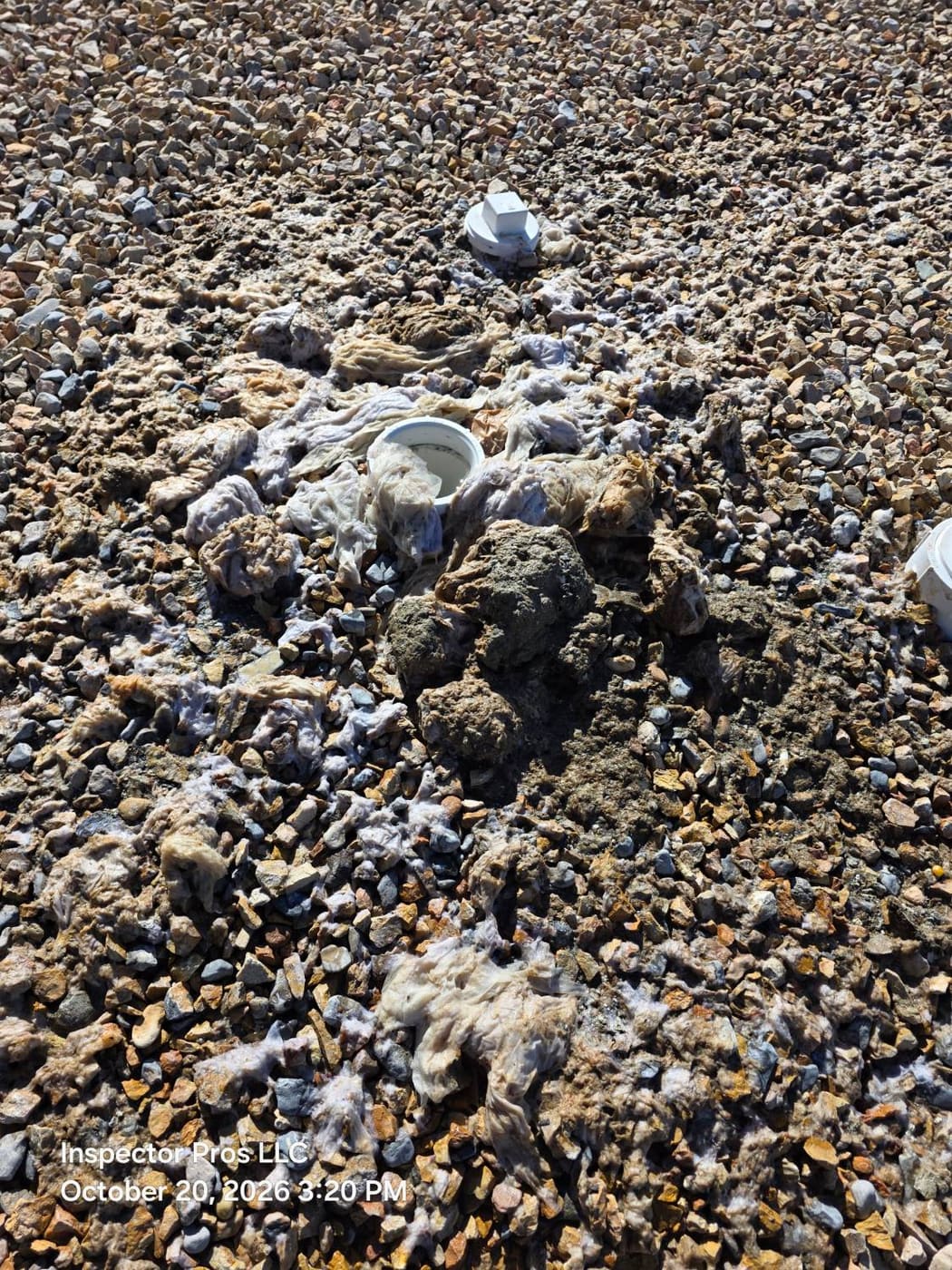 Paper and debris discharged onto gravel after opening a blocked sewer cleanout